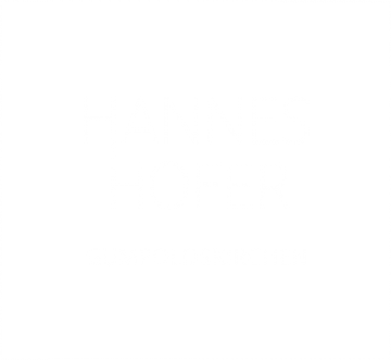 Hannes Hofer